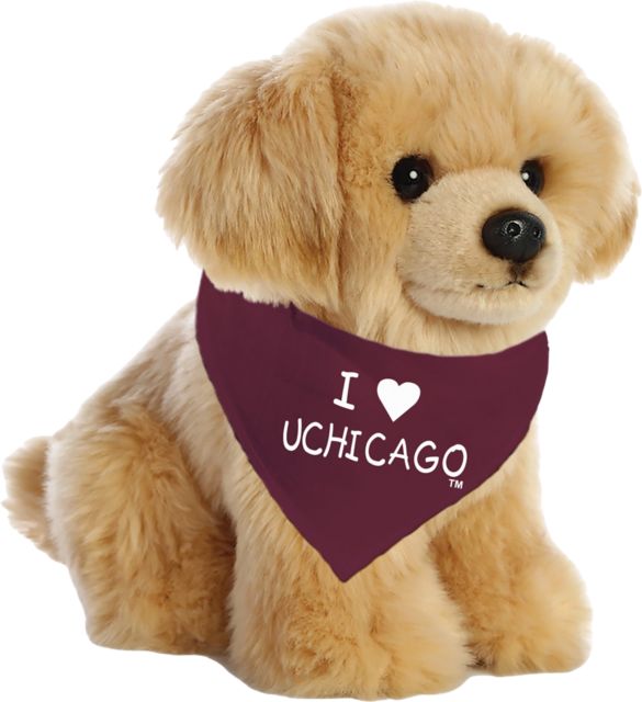 The University of Chicago Plush