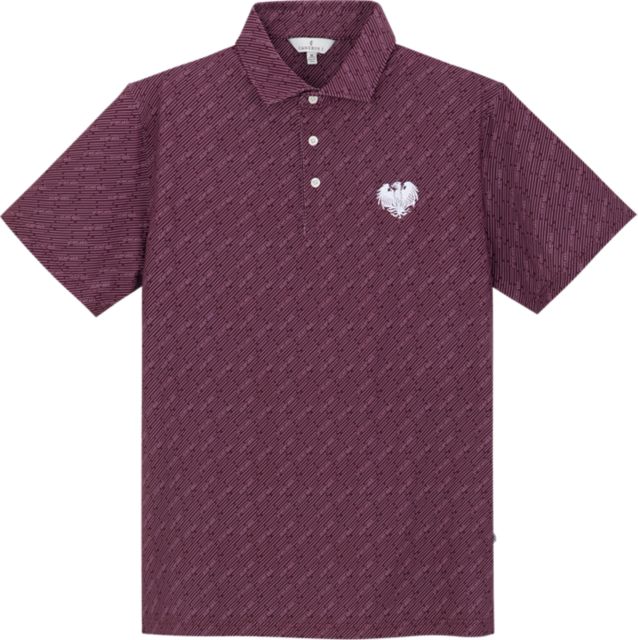 The University of Chicago Team Polo