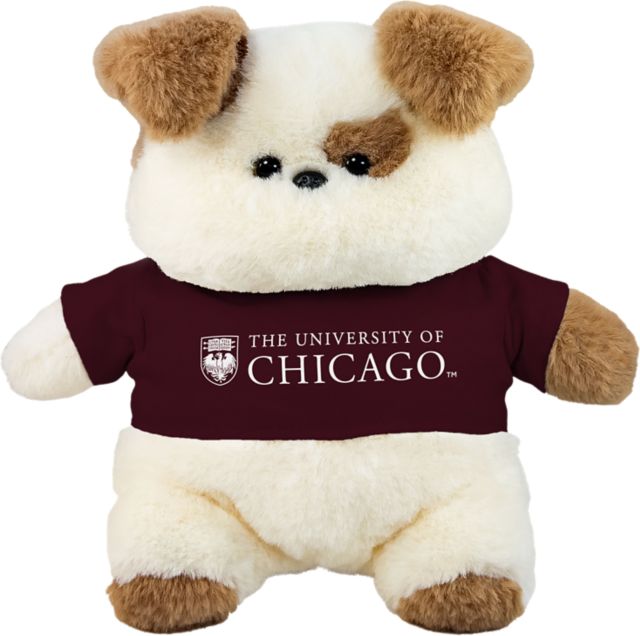 The University of Chicago 9.5'' Chubby Plush