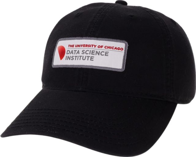 The University of Chicago Data Science Institute Cap