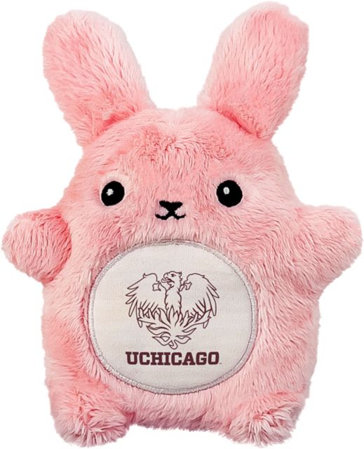 The University of Chicago Maroons 4.5'' Fancake Plush
