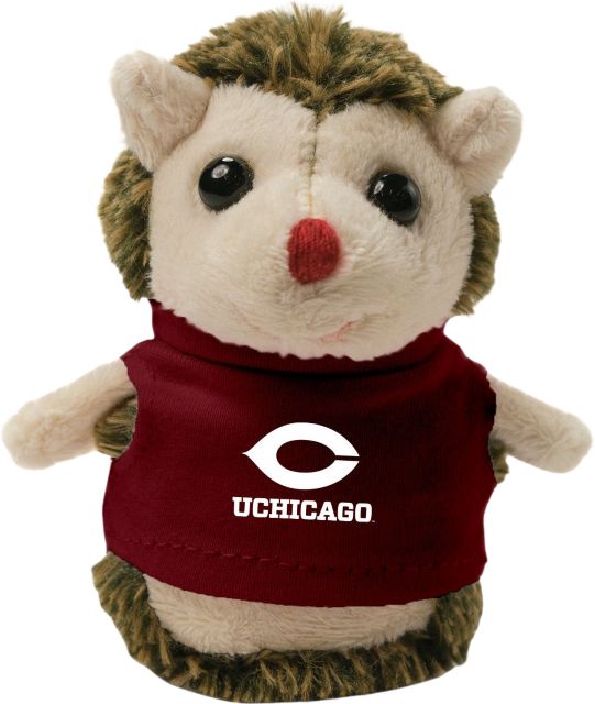 Hedgehog