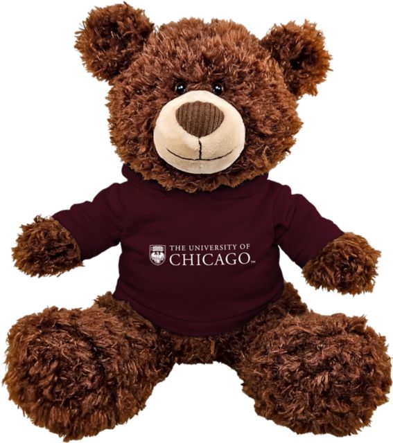 The University of Chicago 11" Bear