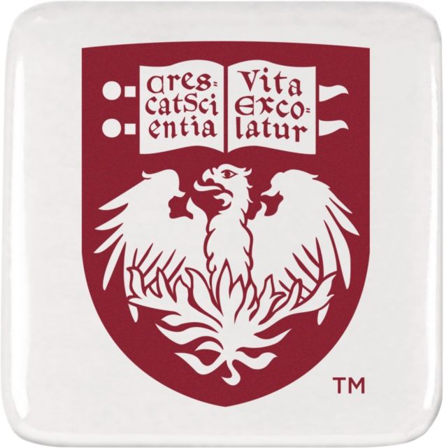 The University of Chicago Magnet