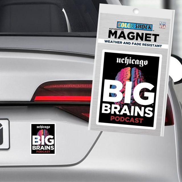 The University of Chicago 4x4 Magnet