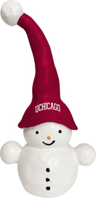 The University of Chicago Theo the Snowman