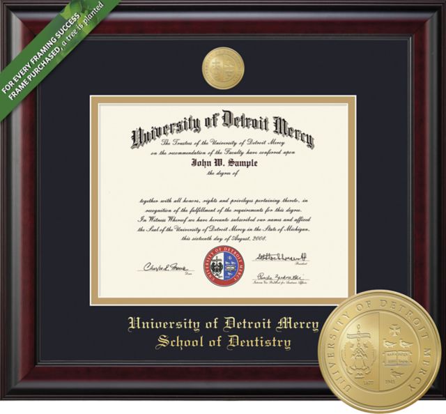 University of Detroit Mercy Classic 11 x 14 Diploma Frame