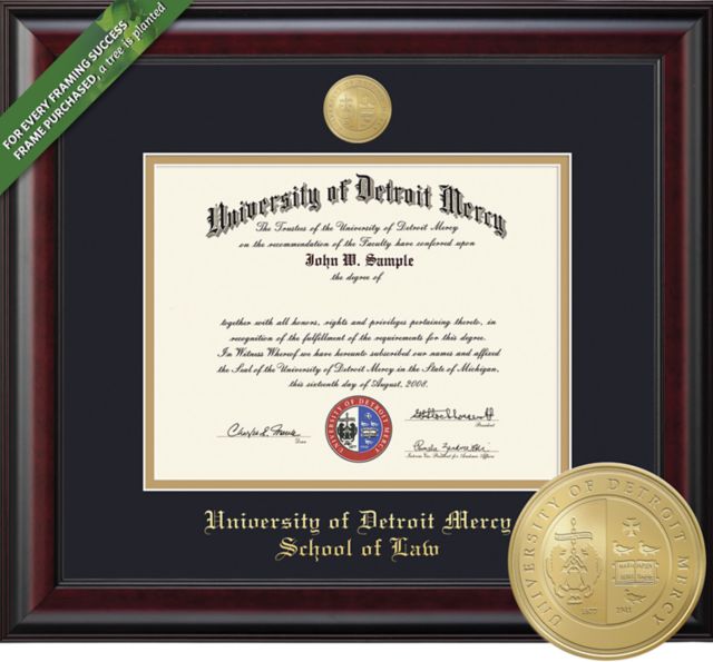 University of Detroit Mercy 11'' x 14'' Classic Diploma Frame