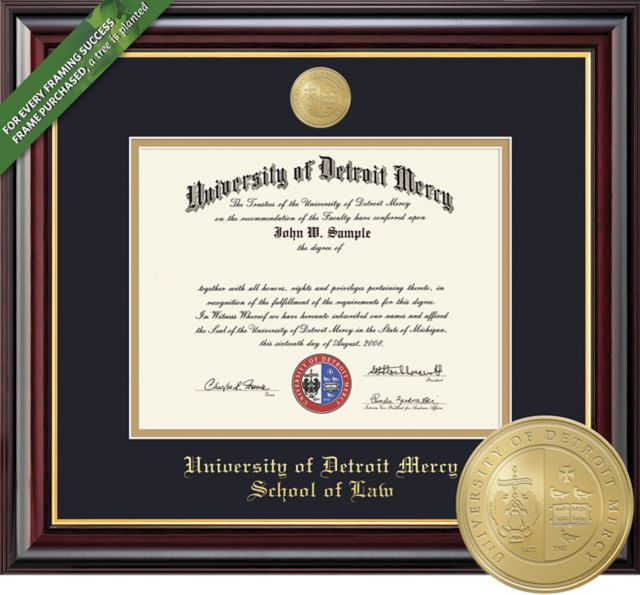 University of Detroit Mercy 11'' x 14'' Windsor Diploma Frame