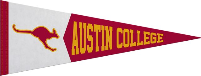 Austin College Roos 9'' x 24'' Pennant