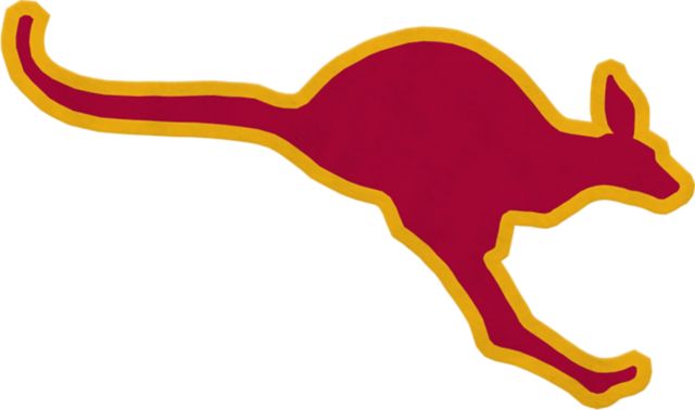 Austin College Roos 18x18 Pennant