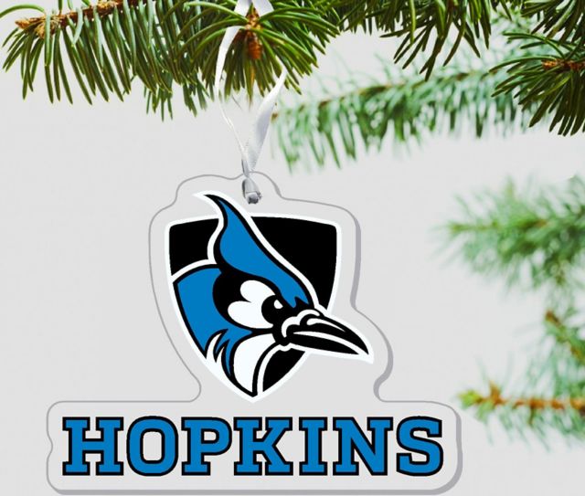 Johns Hopkins University Blue Jays 3 x 4 Ornament