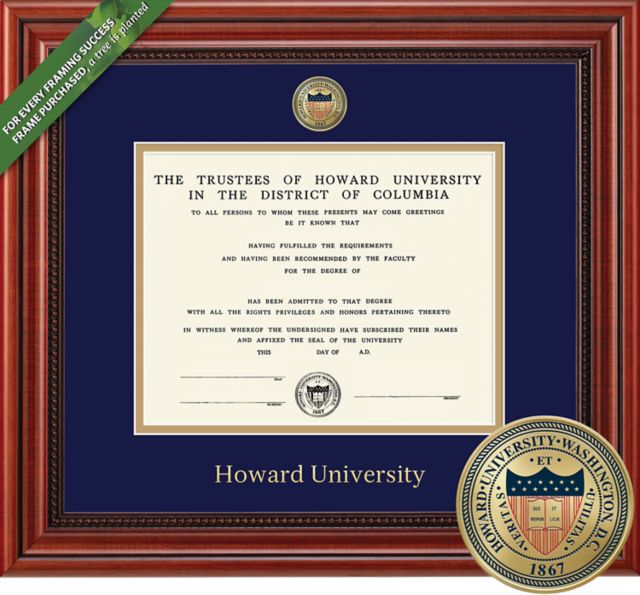 Framing Success Millennium 13 x 17 Doctorate Diploma with a Medallion and double mat - ONLINE ONLY