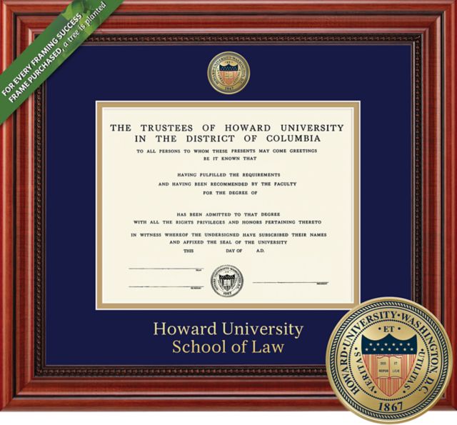 Framing Success Millennium 13 x 17 Law Diploma with a Medallion and double mat - ONLINE ONLY