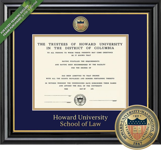Framing Success Coronado 13 x 17 Law Diploma with a Medallion and double mat - ONLINE ONLY