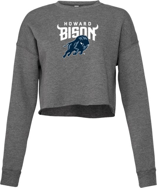 Howard University Women's Oversized Turtleneck Pullover with Bold Stretch-Knit Striped Detail