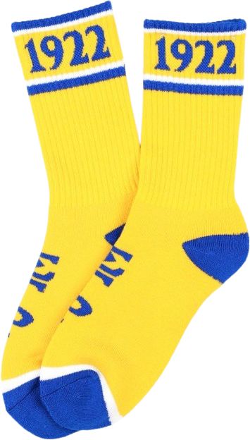 Howard University Socks