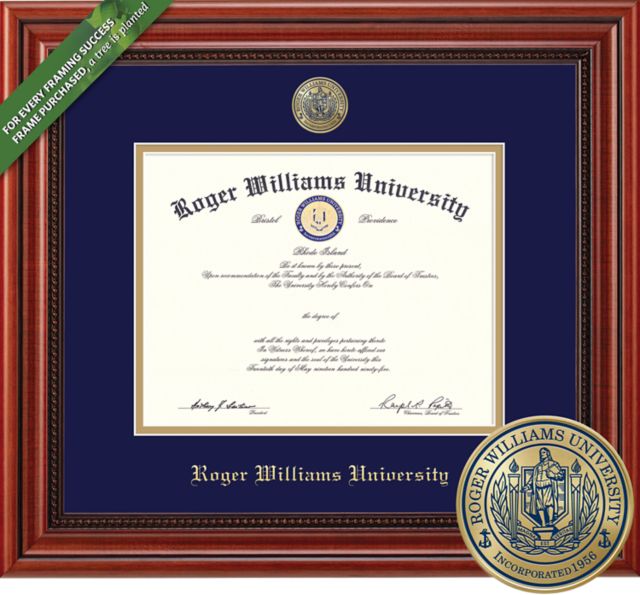 Framing Success Millennium 11 x 14 BA/MA/Doc Diploma with Medallion and Double mat - ONLINE ONLY