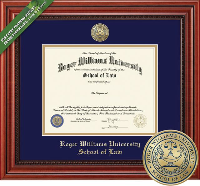 Framing Success Millennium 14 x 17 Law Diploma with Medallion and Double mat - ONLINE ONLY