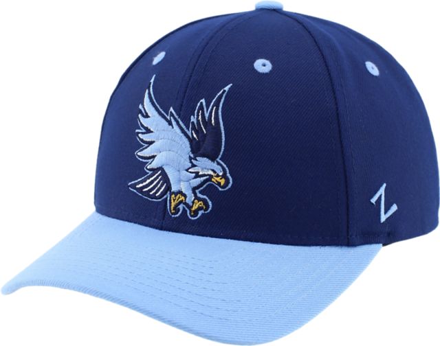 Roger Williams University Hawks Performance Cap