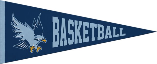 Roger Williams University Hawks Basketball 12x30 Pennant
