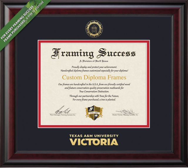 Texas A&M University Victoria 11'' x 14'' Classic Diploma Frame