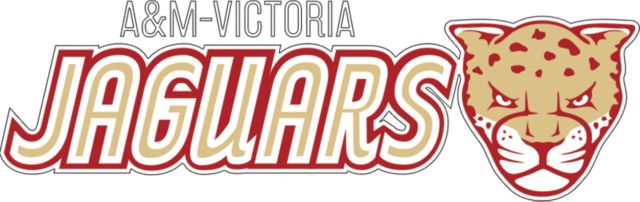 Texas A&M University Victoria Jaguars Medium Decal A&M Victoria Jaguars Flat - ONLINE ONLY