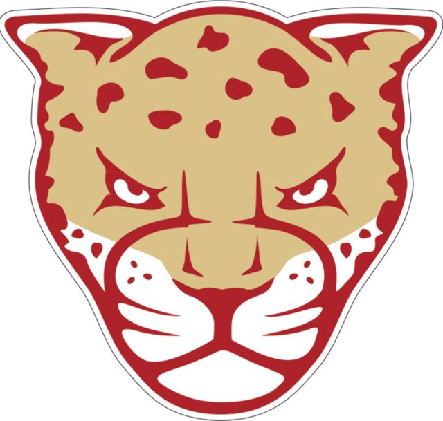 Texas A&M University Victoria Jaguars Medium Decal TAMUV Mascot - ONLINE ONLY