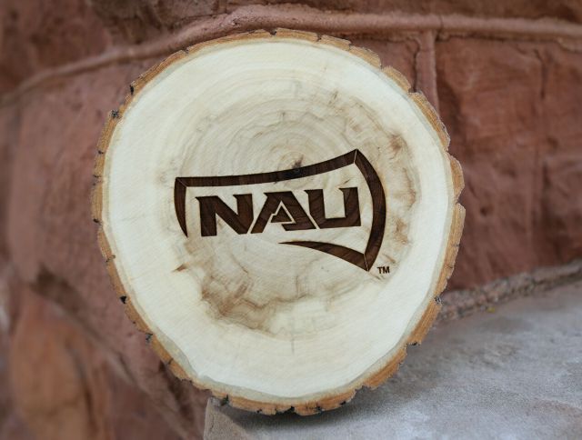 Northern Arizona University 7'' Wooden Gameday Cookie