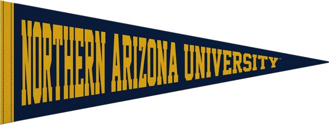 Northern Arizona Lumberjacks 9x24 Pennant