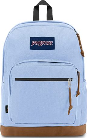 JanSport Right Pack Hydrangea