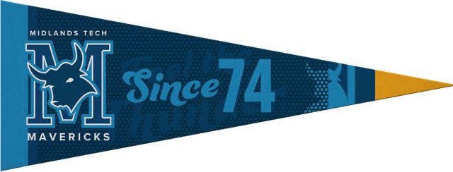 Midlands Technical College 9 x 24 Pennant