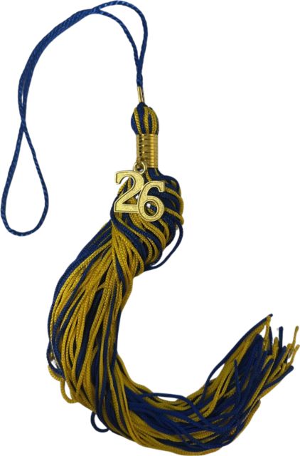 LWTECH SOUVENIR TASSEL