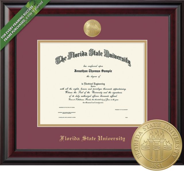 Florida State University Classic 11" x 14" Diploma with Double mat and Medallion