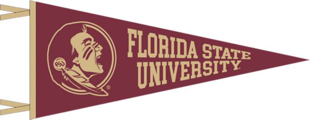 Florida State University Seminoles 6'' x 15'' Pennant