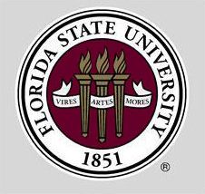 Florida State University Cling Decal