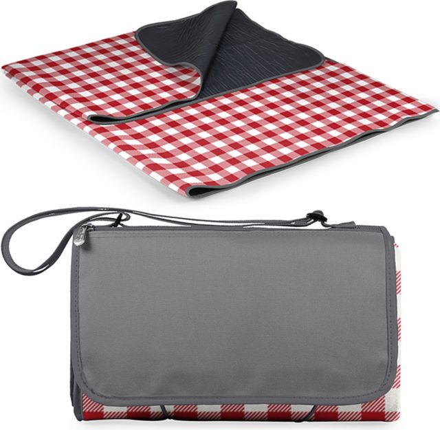 Picnic blanket tote bag best sale