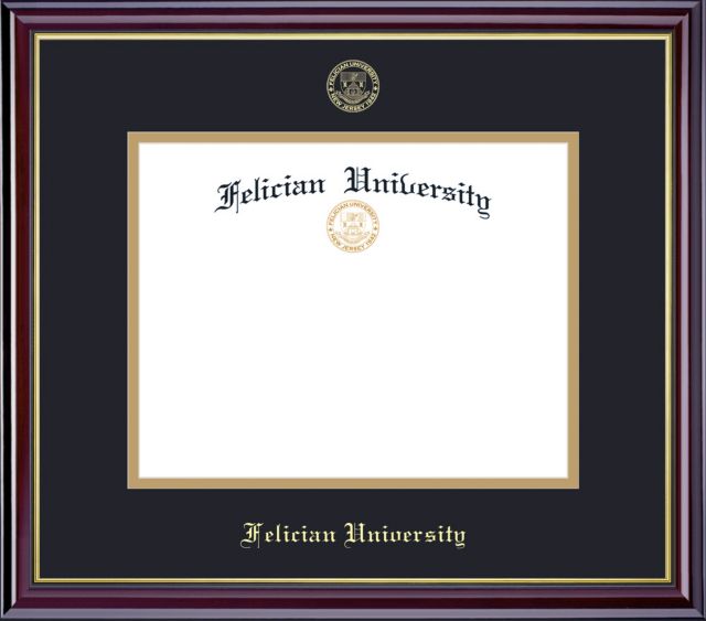 Felician University 8.5'' x 11'' Windsor Diploma Frame