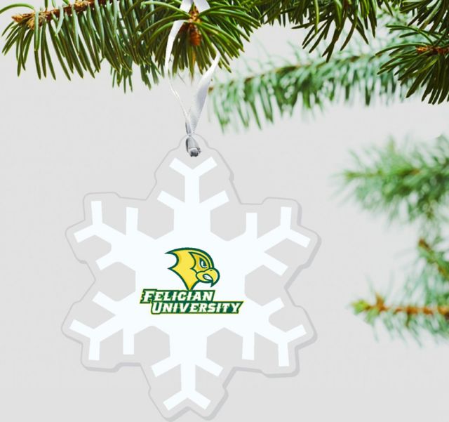 Felician University Golden Falcons 3'' x 4'' Ornament