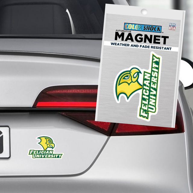 Felician University Golden Falcons 4" x 4" Magnet