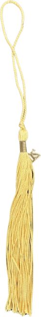 Social Work (Citron) Tassel