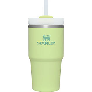 Stanley 2pk 20oz Stainless Steel H2.0 Flowstate Quencher Tumblers