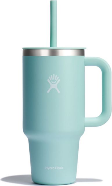 Hydro Flask 20 oz All Around Tumbler - Dew