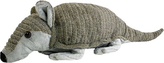 Ringling College of Art and Design Armadillo