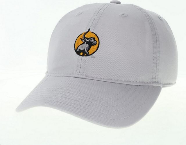 Purdue University Fort Wayne Mastodons Twill Hat