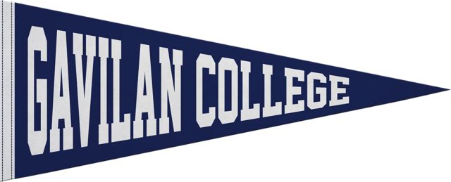Gavilan College 12x30 Pennant