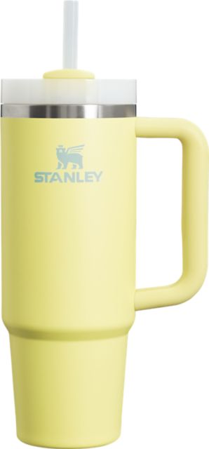 30 oz The Quencher H2.O FlowStateTumbler Lilac