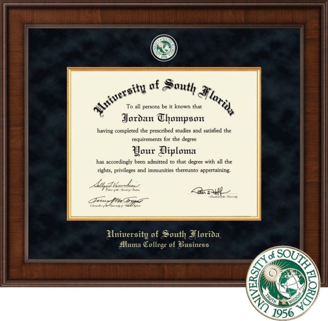 Church Hill Classics Presidential, Muma College of Business ,11x14 , Masters, PhD Diploma Frame