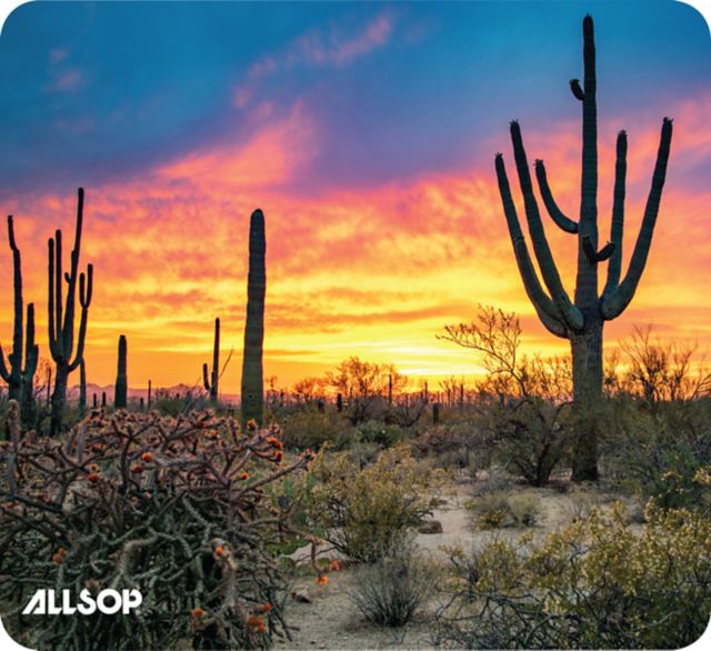 Allsop Computer Mouse Pad (Saguaro)