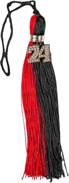 2024 Mega Ice Bling Tassel